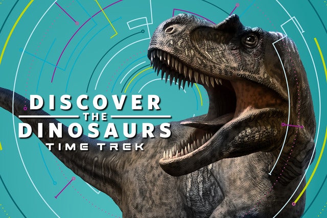 Discover the Dinosaurs