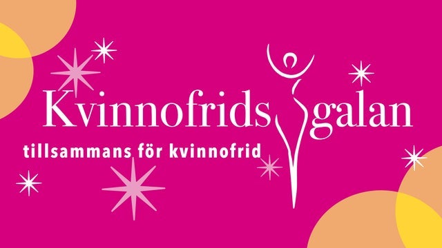 Kvinnofridsgalan i Malmö Arena. 25/11/2024