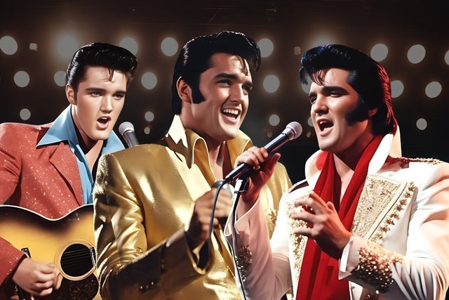 Presales to elvis elvis elvis: members use these when buying pre-sale tickets