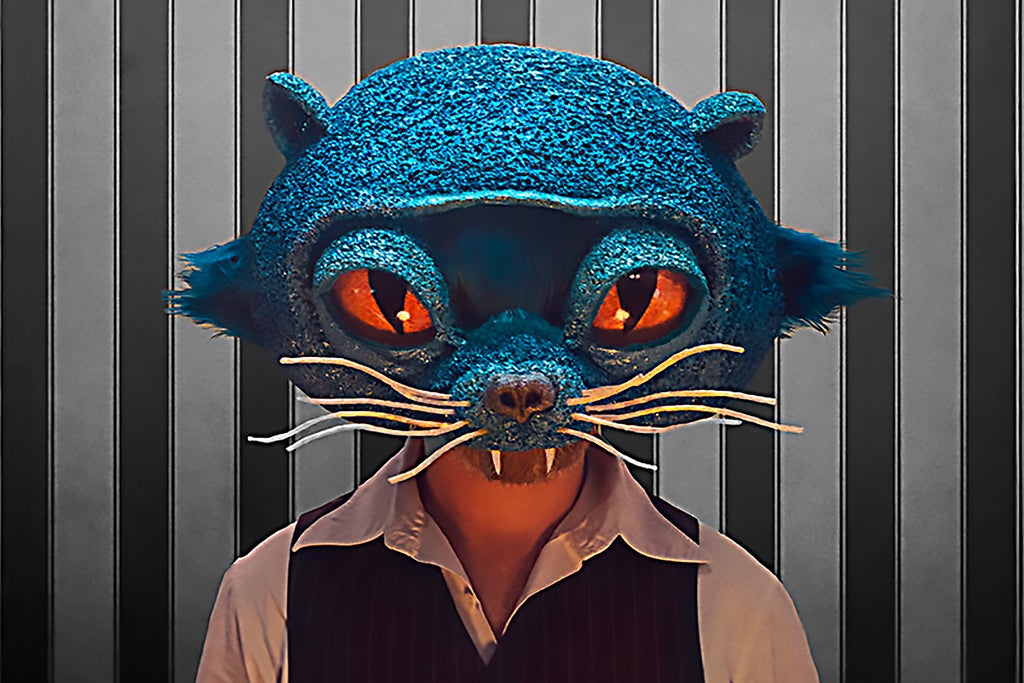 Mathias Malzieu : « L’homme qui écoutait battre le cœur des chats » in Turkey