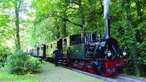 Museums-Eisenbahn Bruchhausen-Vilsen in Deutschland