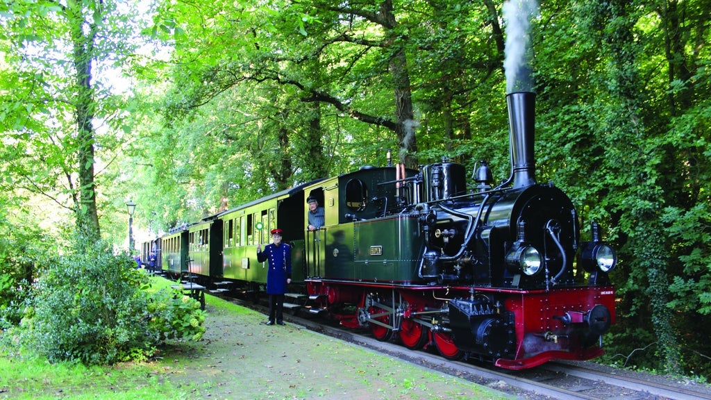 Zubringerfahrt mit dem T2 von Eystrup nach Bruchhausen-Vilsen - Image 2