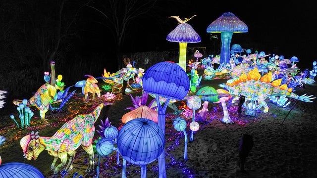 Lichterfestival – Naturwunder | 08.11.25 – 01.03.26 in Serengeti-Park Hodenhagen 01/03/2026