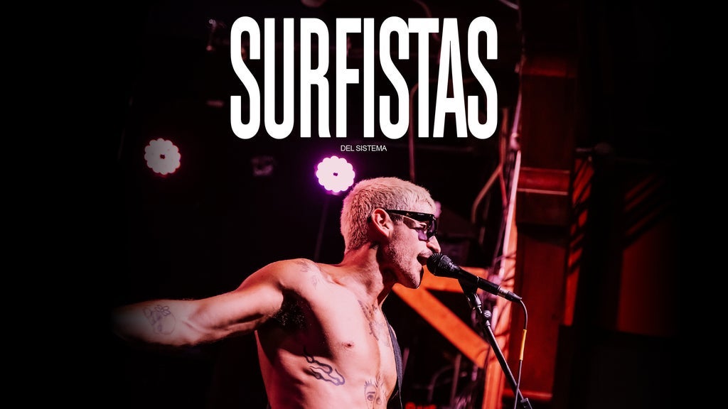 Surfistas del Sistema