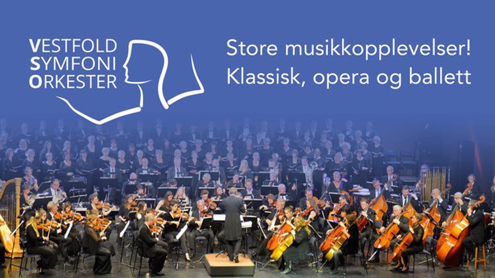 Vestfold Symfoniorkester official photo