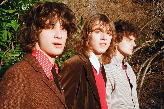 Presale codes for sharp pins: members use these when buying pre-sale tickets