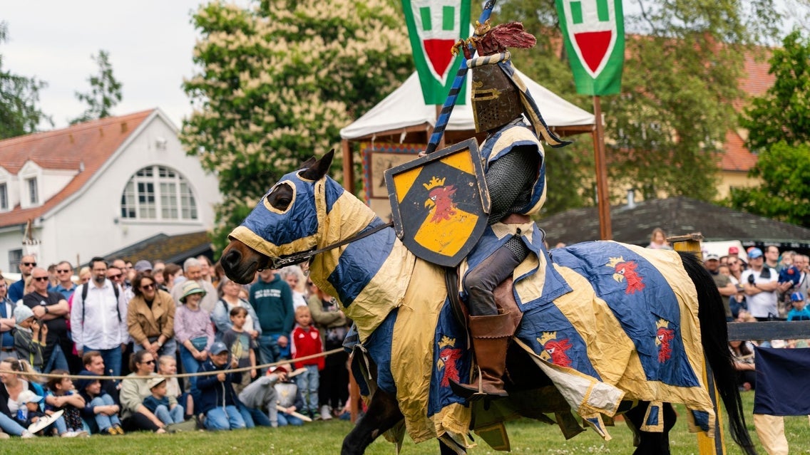 Ritterfest auf dem Schloss Diedersdorf - 12. & 13. September 2026