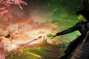 Wicked: Limited Season Experience