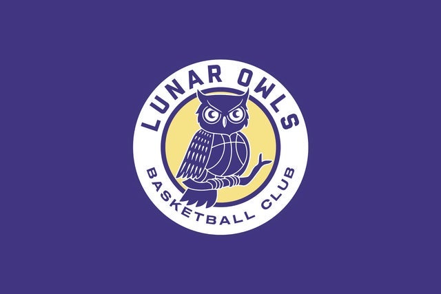 Lunar Owls Basketball Club hero