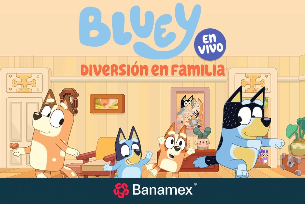 Bluey Diversión en Familia