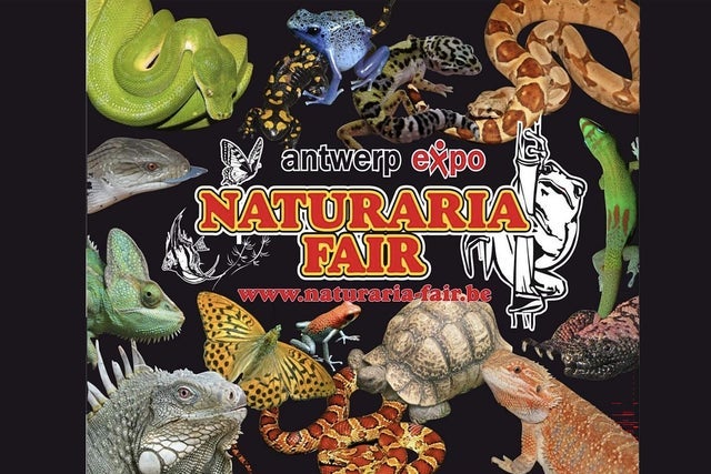 Naturaria fair Antwerp