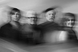 The New Pornographers