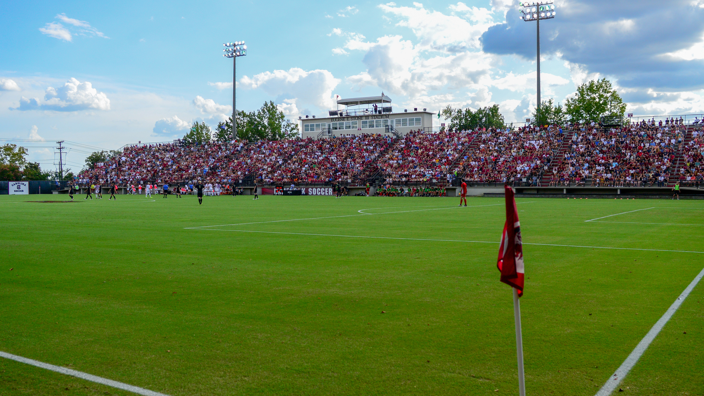 Univ of South Carolina Gamecocks Mens Soccer