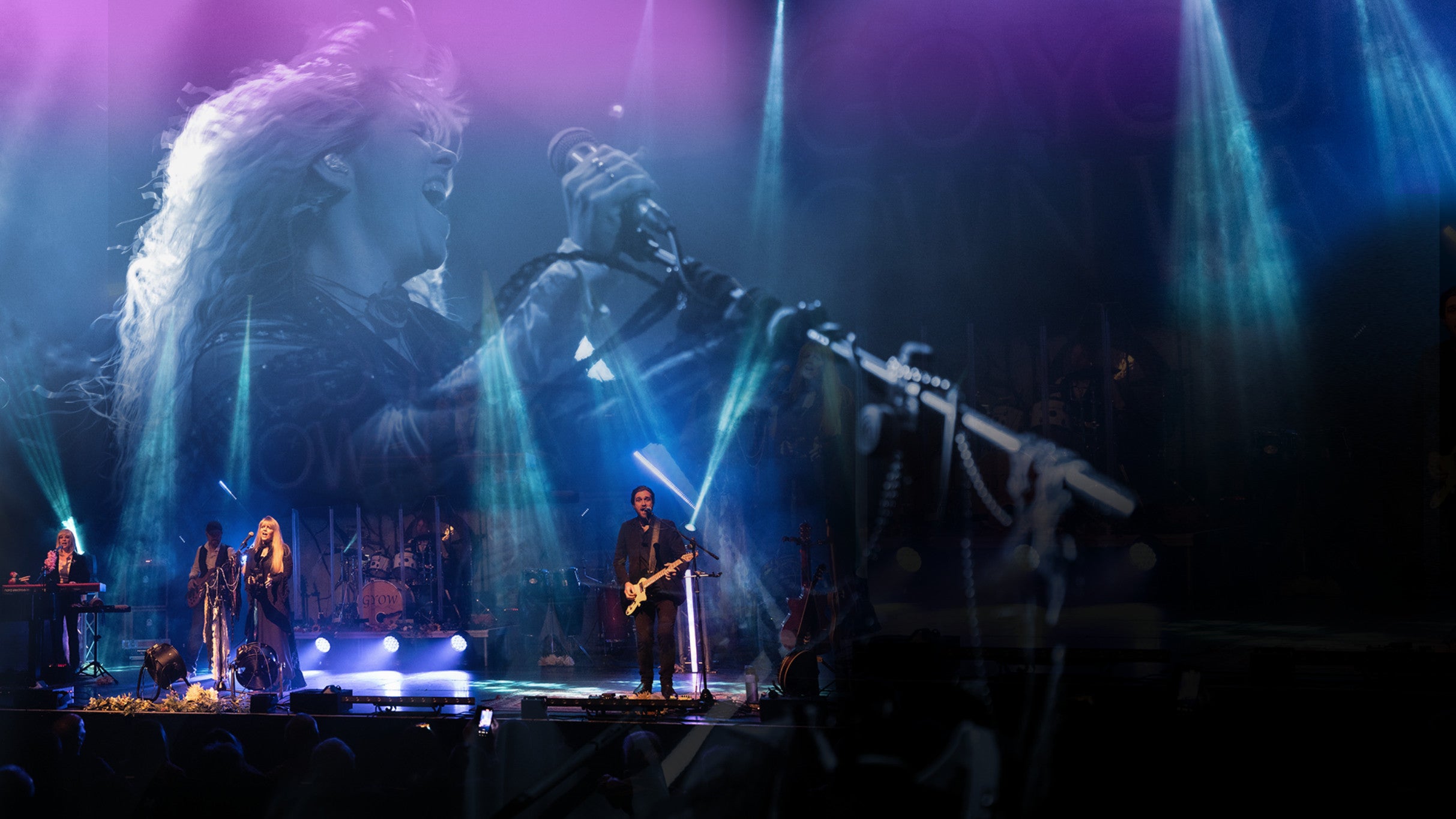 FLEETWOOD MAC TRIBUTE - GO YOUR OWN WAY