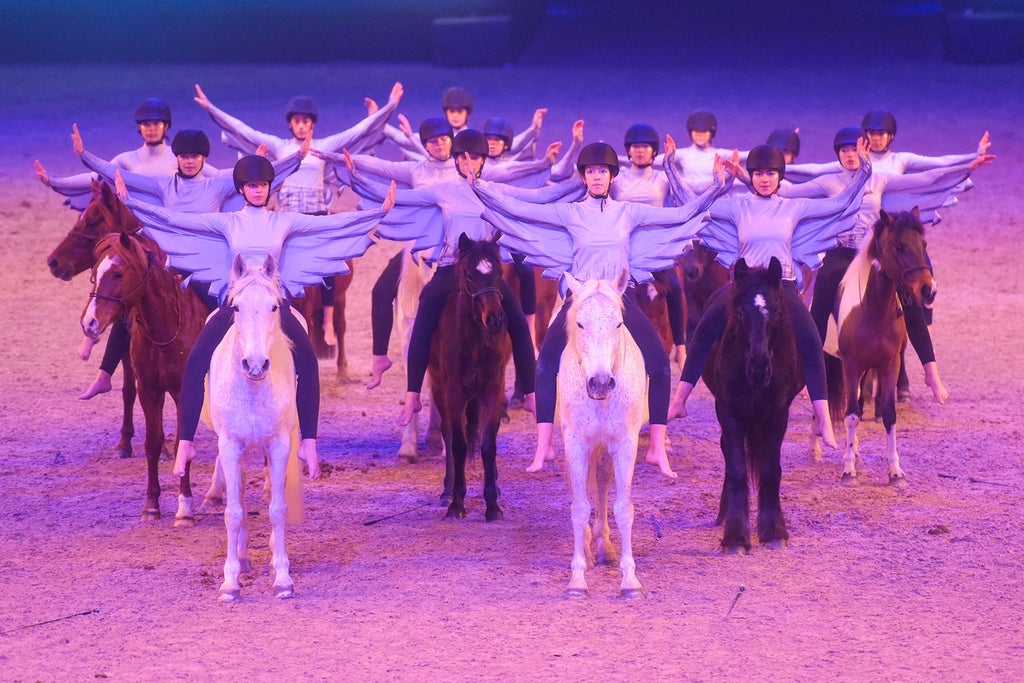 MiMaMo - Die Pferde-Kinder-Pony-Show - SAMSTAG
