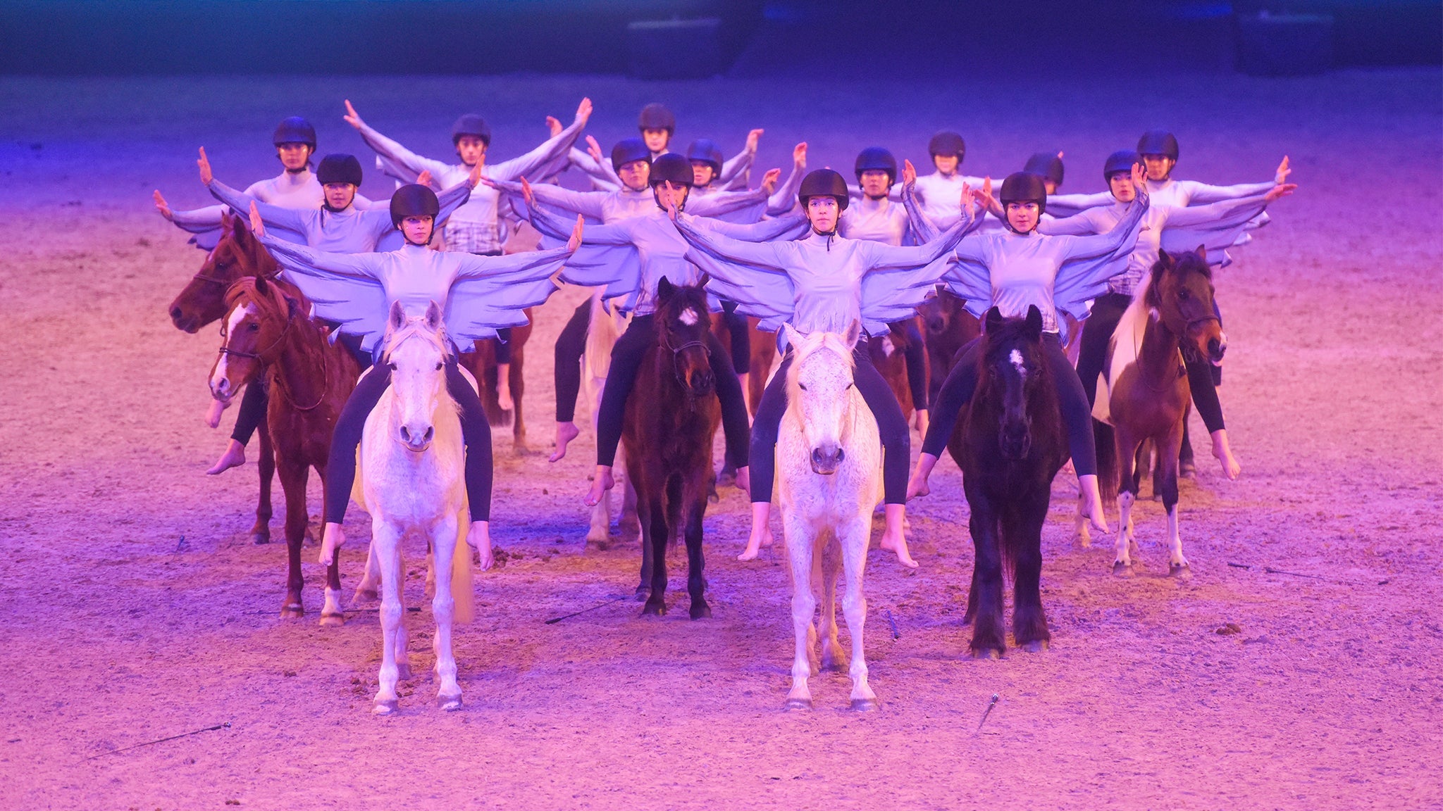 PASSION PFERD Show – MiMaMo