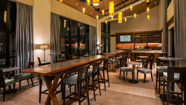 Sylvester Comprehensive Cancer Center Intermezzo Lounge