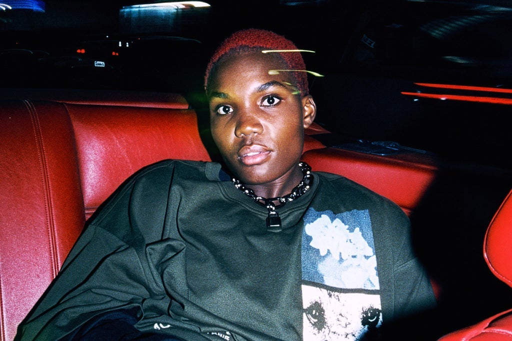 Arlo Parks