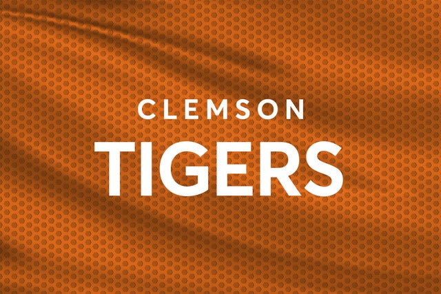 Clemson University Tigers Womens Basketball hero