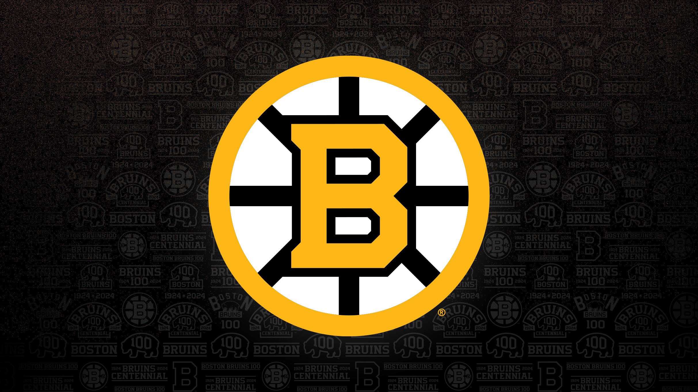 Boston Bruins