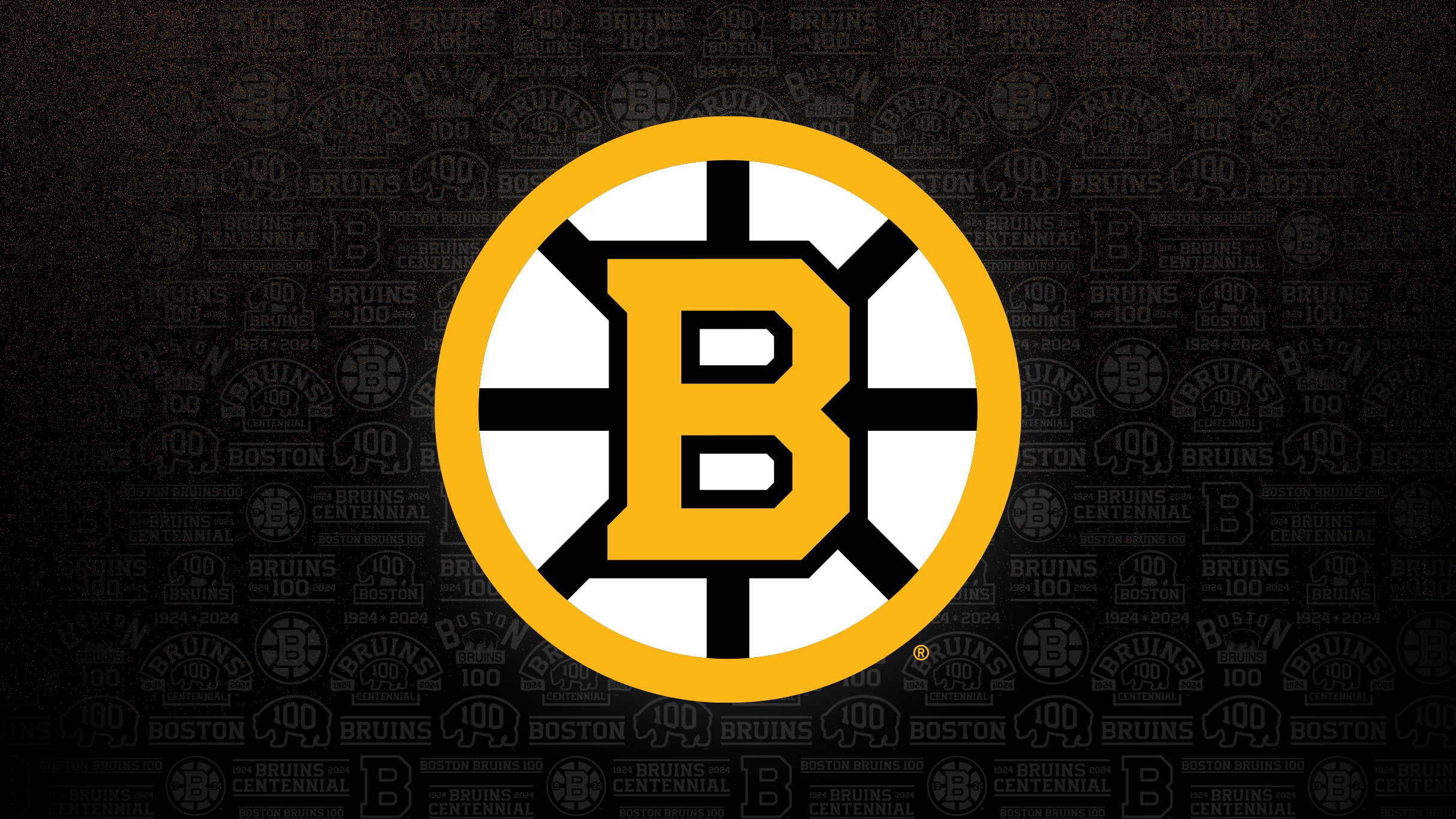 Boston Bruins