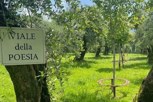 Visita della Poesia