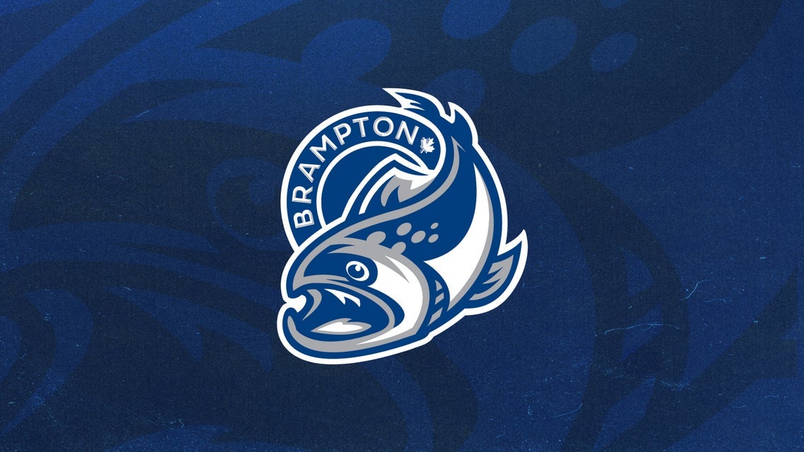 Preseason | Brampton Steelheads v Barrie Colts