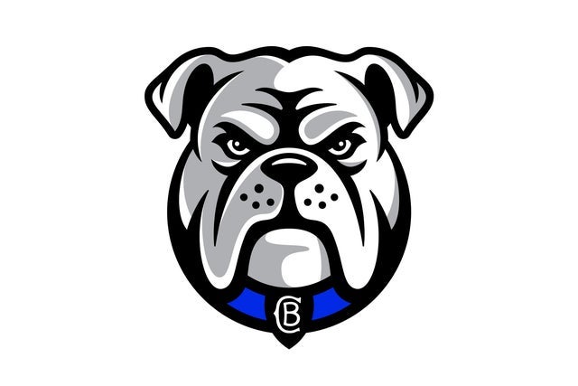 Presales to 2026 nrl telstra premiership bulldogs v tigers (round 20): members use these when buying pre-sale tickets