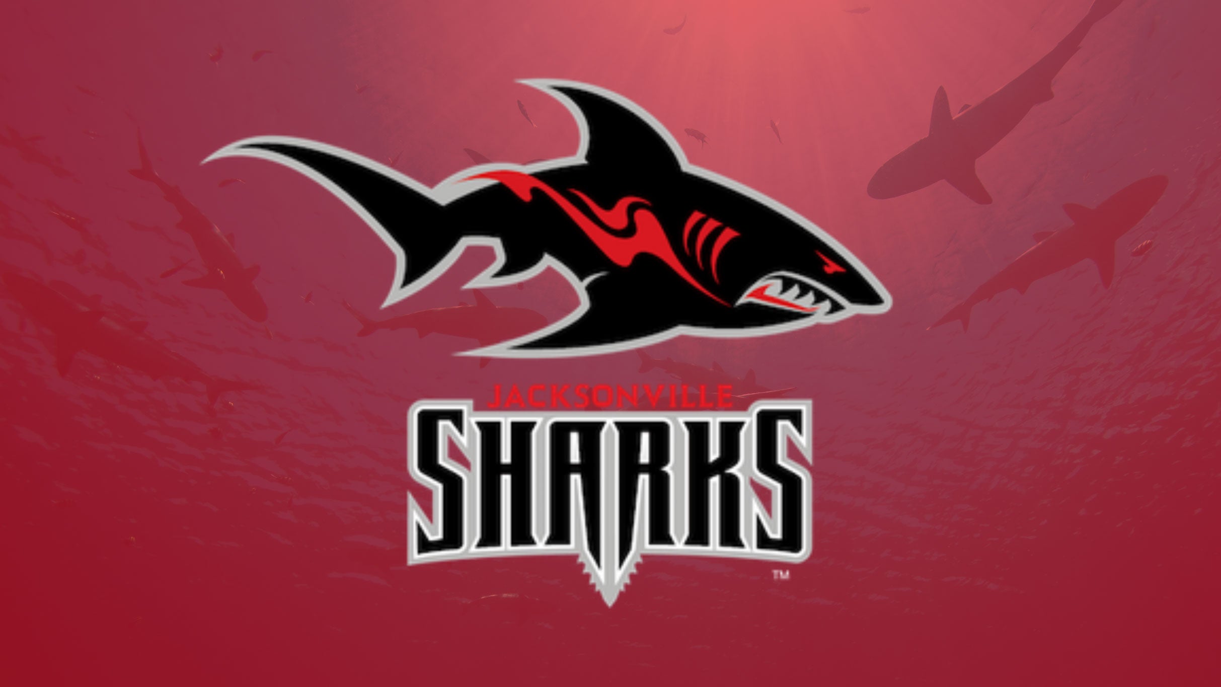 Jacksonville Sharks vs Quad City Steamwheelers