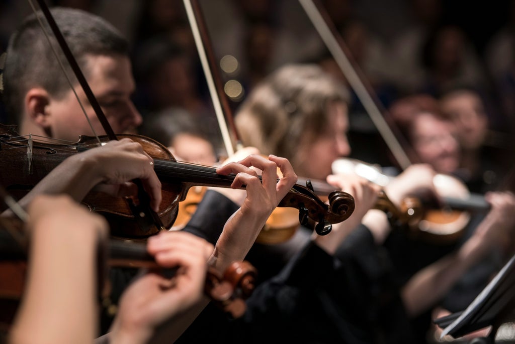 Helsingborgs kammarmusikförening: Trio Kvint