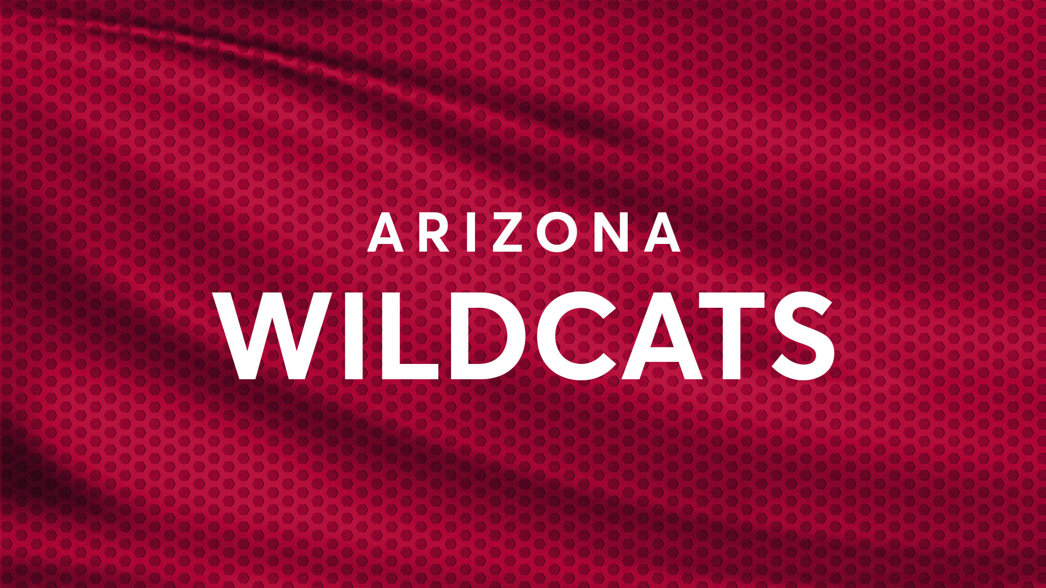 Arizona Wildcats Softball - Bear Down Fiesta Day 1