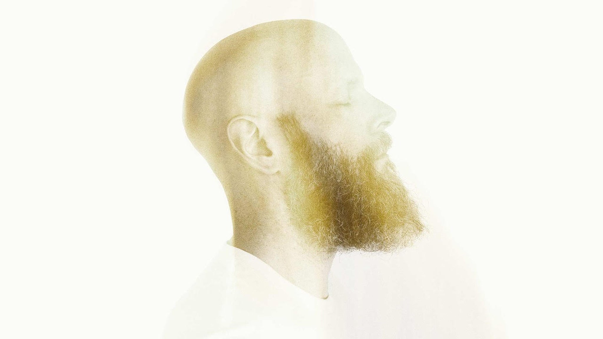 Andrew Paul