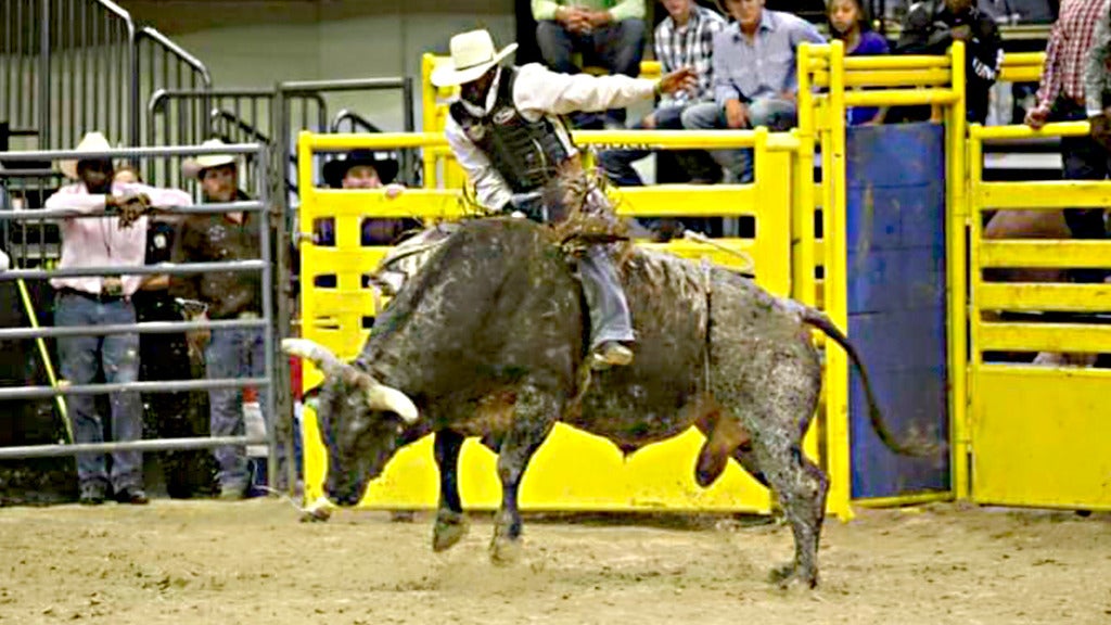 Hotels near Gulf Coast Black Rodeo Events