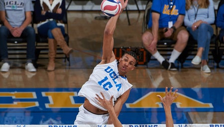 UCLA Bruins Men's Volleyball