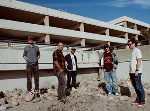 Panchiko, Rehash, and More in St. Petersburg