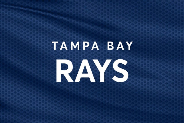 Tampa Bay Rays Game Used Lineup Card