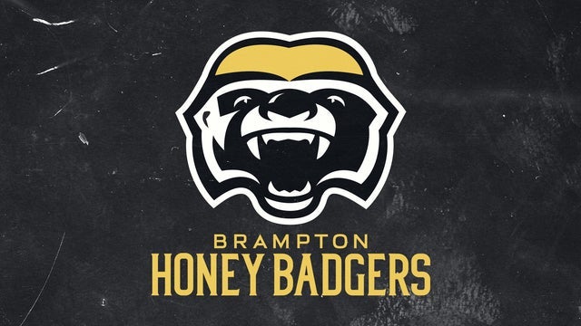 Brampton Honey Badgers