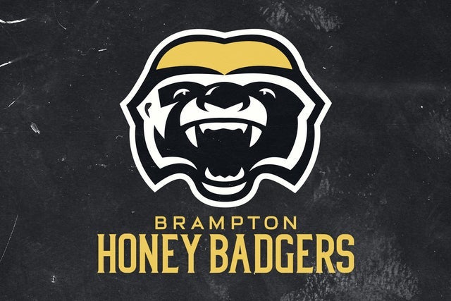 Brampton Honey Badgers
