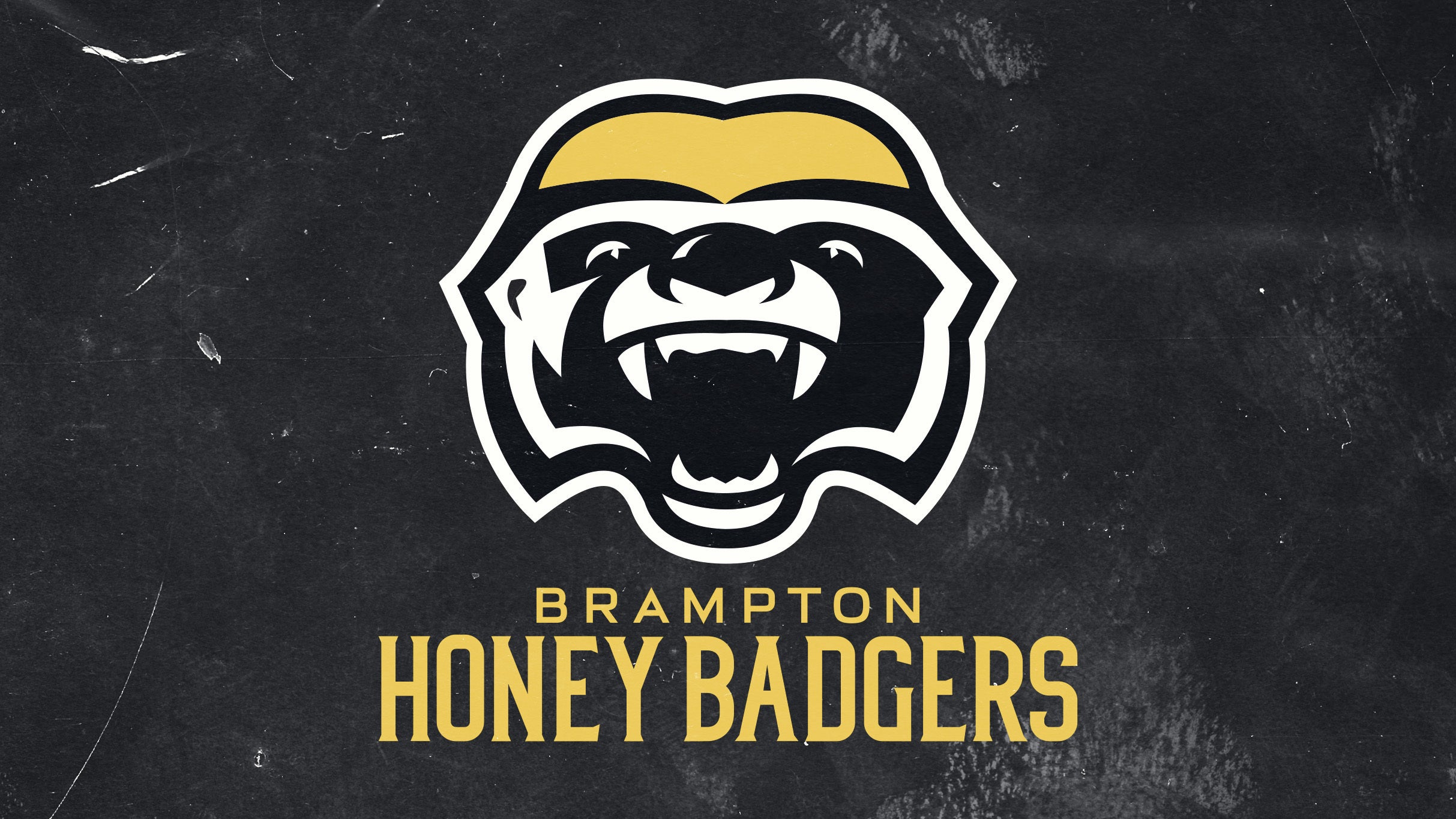Brampton Honey Badgers vs. Montreal Alliance pre-sale password