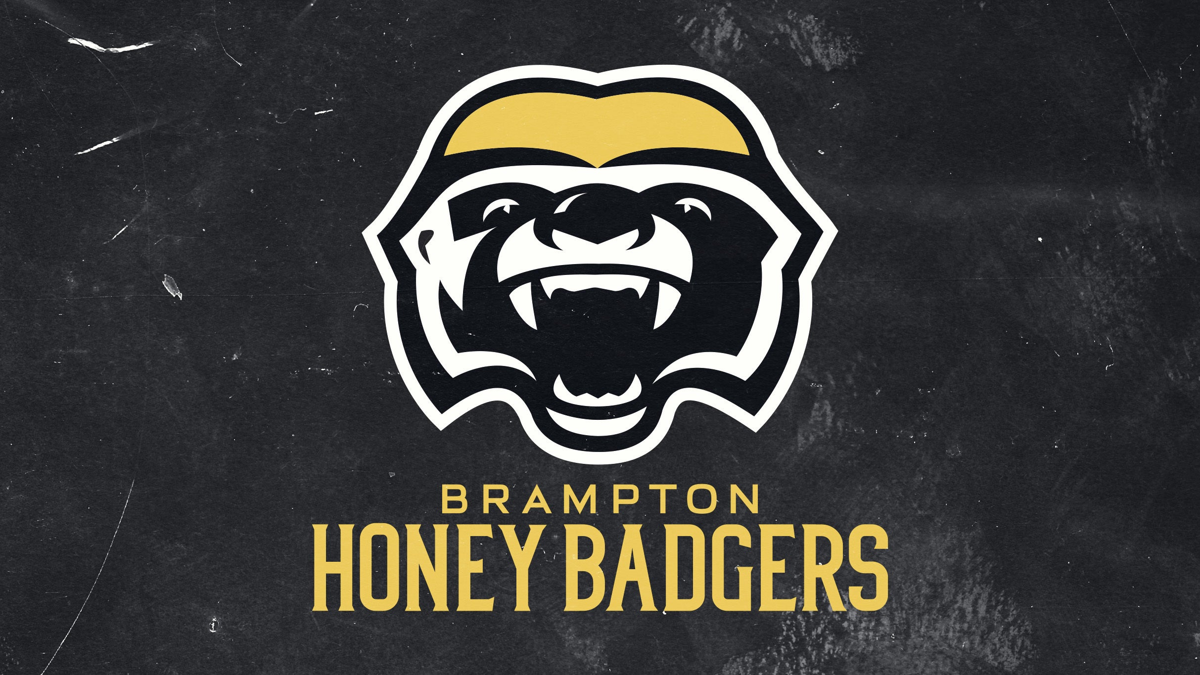 Brampton Honey Badgers vs. Scarborough Shooting Stars presale password