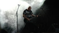 live photos