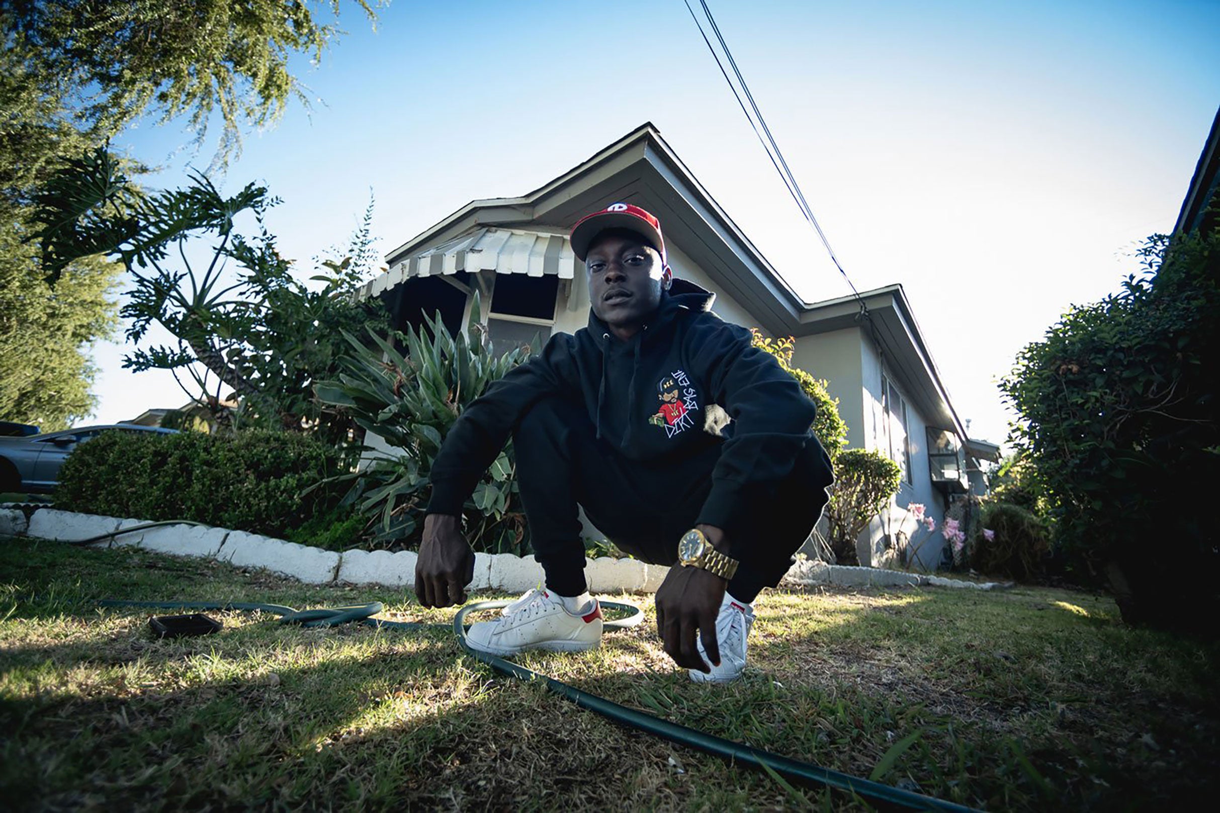 Wallie The Sensei presale information on freepresalepasswords.com