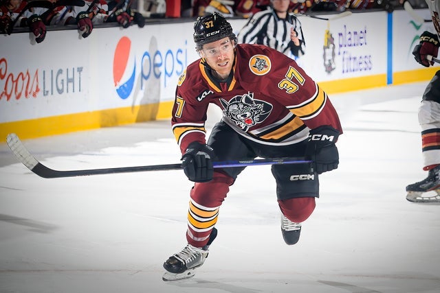 Chicago Wolves - Chicago Wolves updated their cover photo.