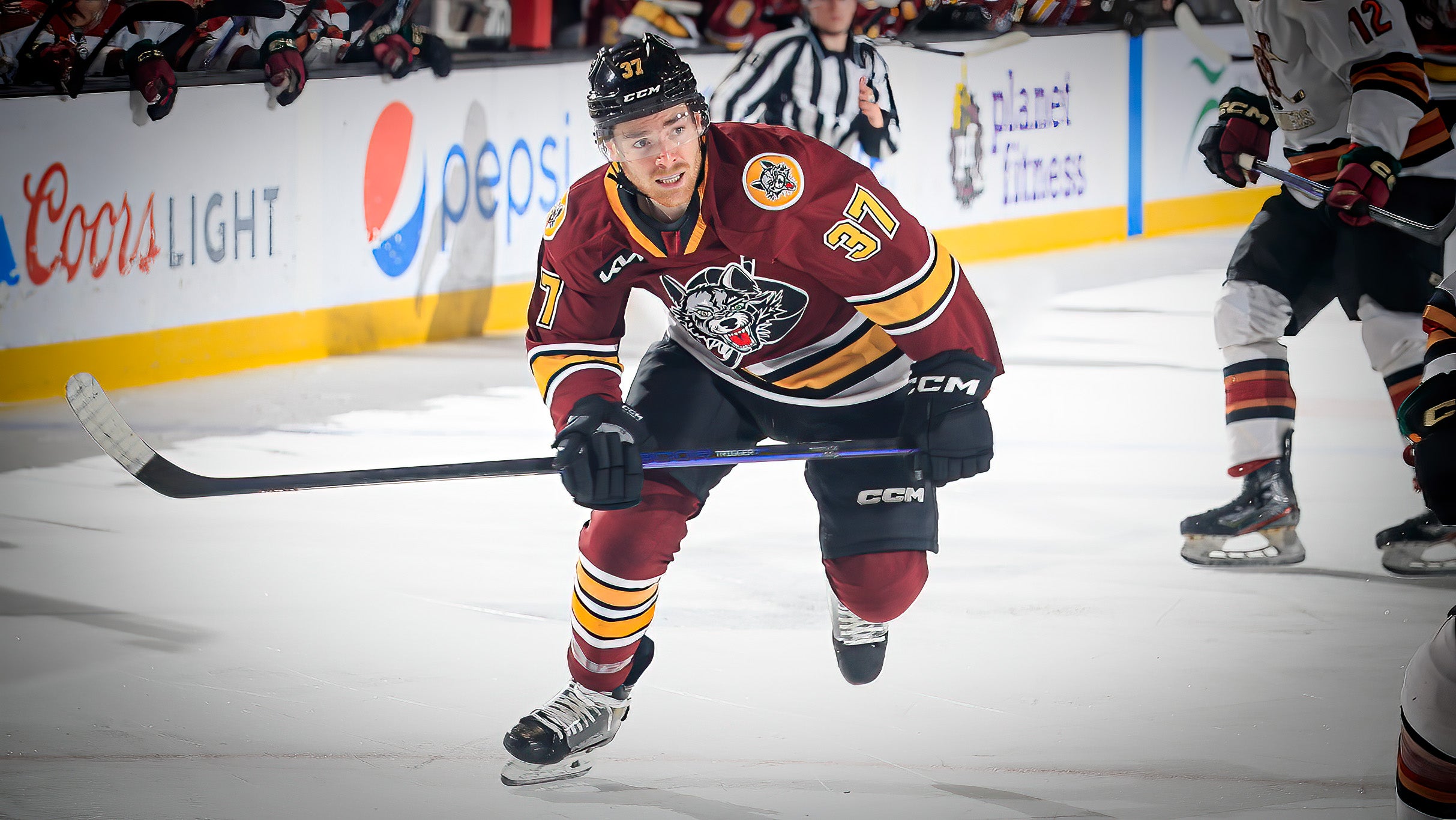 Chicago Wolves vs. Rockford IceHogs at Allstate Arena