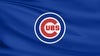Chicago Cubs vs. Los Angeles Angels