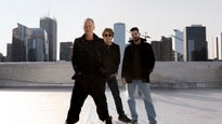 Sting