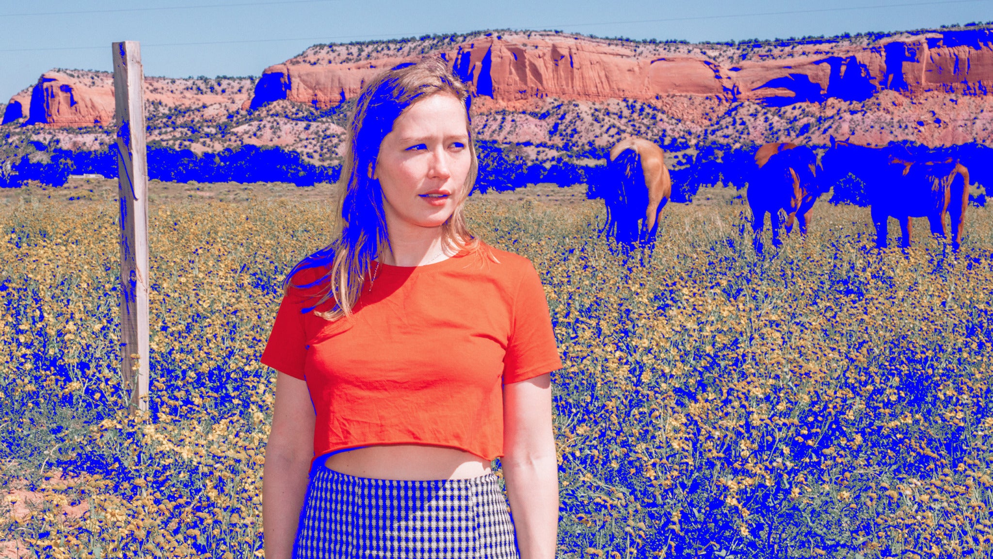 Image used with permission from Ticketmaster | Julia Jacklin tickets