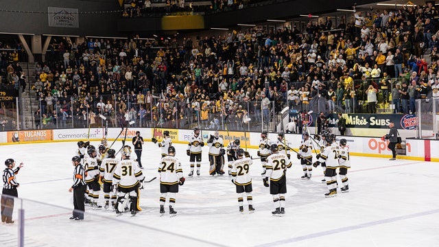 Colorado College Tigers Mens Hockey