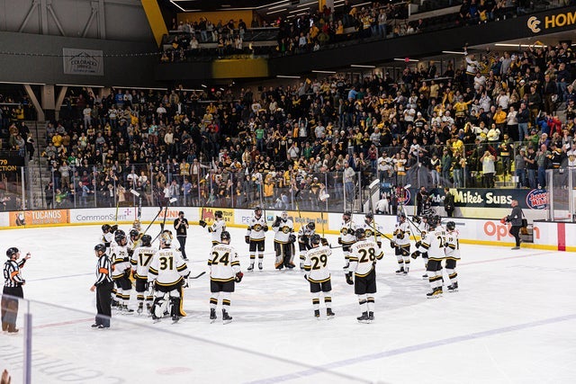 Colorado College Tigers Mens Hockey hero