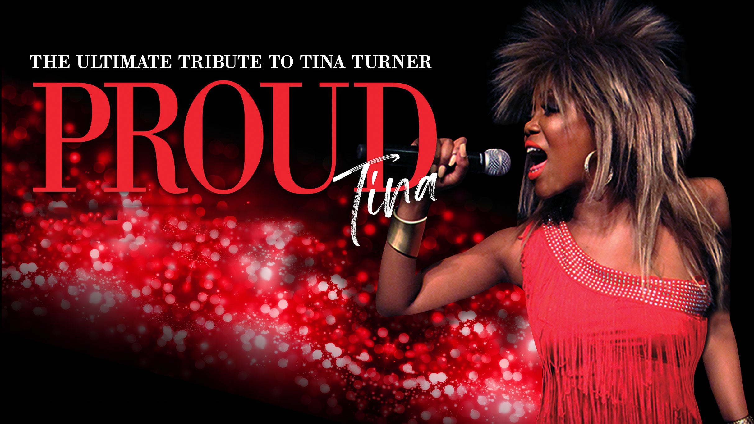 PROUD Tina: The Ultimate Tribute to Tina Turner in Moline promo photo for Vibrant Arena presale offer code